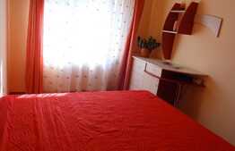Apartament 2 camere, 54 mp, pet friendly, parcare gradina, zona strazii Negoiu