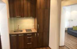 Apartament cu 2 camere modern situat in P-ta Muzeului!