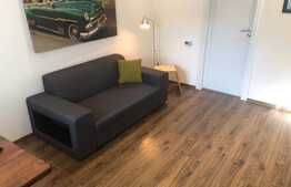 Apartament cu 2 camere modern situat in P-ta Muzeului!