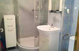 Garsoniera, 30 mp, zona Cetatii