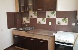 OPORTUNITATE!! Apartament 2 camere, decomandat, parter inalt! Zona strazii Teilor!