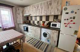 Apartament 2 camere, 60 mp,aer conditionat, parcare, zona Terra! 