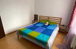 Apartament 2 camere, 60 mp,aer conditionat, parcare, zona Terra! 