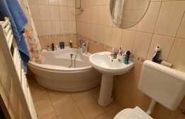 Apartament 2 camere, 60 mp,aer conditionat, parcare, zona Terra! 