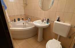 Apartament 2 camere, 60 mp,aer conditionat, parcare, zona Terra! 