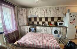 Apartament 2 camere, 60 mp,aer conditionat, parcare, zona Terra! 