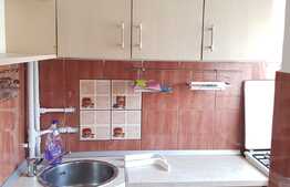 Garsoniera, 24 mp, decomandata, renovata, balcon, zona UMF