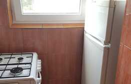 Garsoniera, 24 mp, decomandata, renovata, balcon, zona UMF