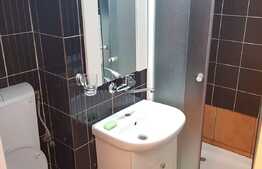 Garsoniera, 24 mp, decomandata, renovata, balcon, zona UMF