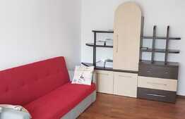 Garsoniera, 24 mp, decomandata, renovata, balcon, zona UMF