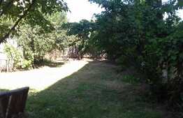 Casa individuala, 90 mp utili, 400 mp teren, zona parcului Gruia!