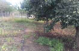 Casa individuala in calcan, 94 mp utili, 862 mp teren!