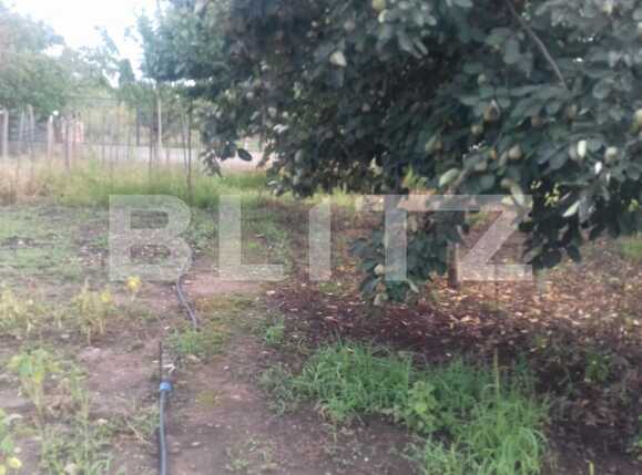 Casa de vânzare 3 camere Bulgaria - 54230CV | BLITZ Cluj-Napoca | Poza1