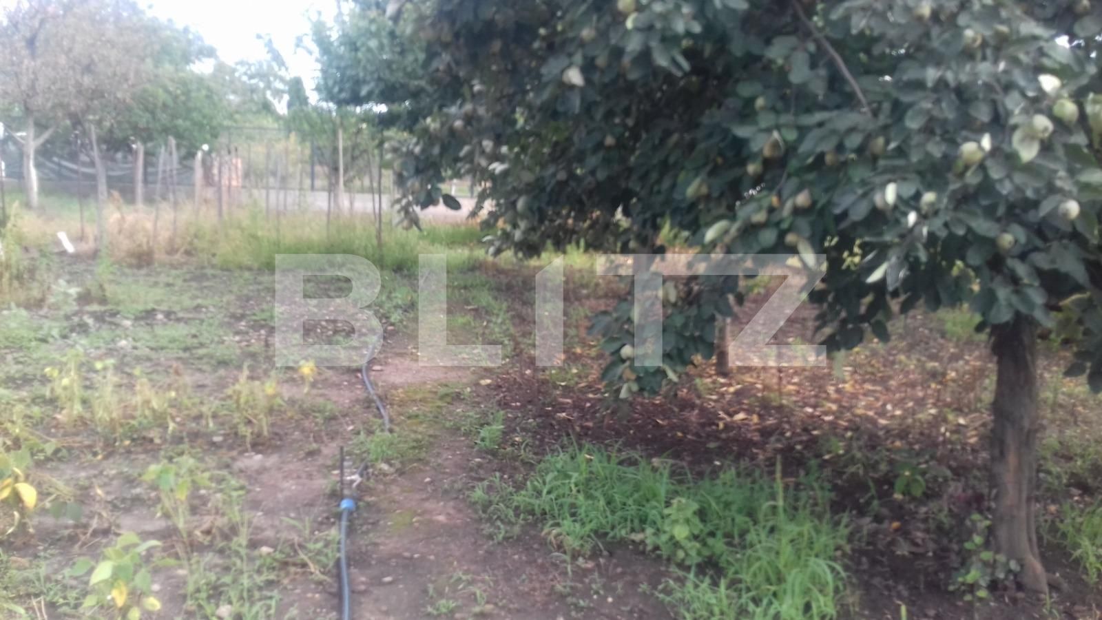 Casa de vânzare 3 camere Bulgaria - 54230CV | BLITZ Cluj-Napoca | Poza1