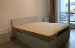 Apartament 1 camera, 40 mp, garaj, zona strazii Traian