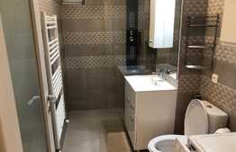 Apartament 1 camera, 40 mp, garaj, zona strazii Traian