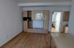 Apartament 1 camera, spatios, garaj, 42 mp., zona Terra