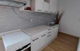 Apartament 1 camera, spatios, garaj, 42 mp., zona Terra