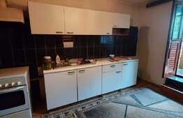 2 camere, decomandat, 49mp., bonus gradina 100 mp., zona Somesului 