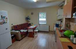 Apartament 2 camere, la cheie, 54 mp., zona Gheorghe Doja 