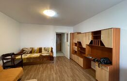 Garsoniera decomandata, 28 mp, pet friendly, zona Iulius Mall