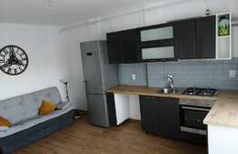 Oportunitate, finisaje noi, parcare, zona Teilor