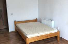 Apartament 2 camere decomandate, 65 mp, zona strazii Iasomiei