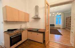 Apartament 2 camere, pet friendly, 50 mp, zona Piata Mihai Viteazu