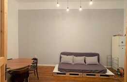 Apartament 2 camere, pet friendly, 50 mp, zona Piata Mihai Viteazu