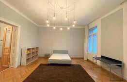 Apartament 2 camere, pet friendly, 50 mp, zona Piata Mihai Viteazu