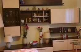 Apartament 2 camere, 60 mp, mobilat modern, zona strazii Bucuresti