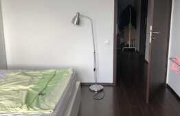 Apartament 2 camere, 60 mp, finisat, mobilat, garaj, zona Calea Turzii