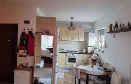 Apartament, 2 camere, curte privata, bloc vila, zona Lidl, Floresti