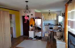 Apartament, 2 camere, curte privata, bloc vila, zona Lidl, Floresti