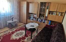 Apartament 2 camere, decomandat, 50 mp, pet friendly, zona Minerva