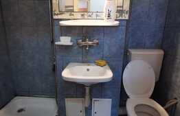 Apartament 2 camere, decomandat, 50 mp, pet friendly, zona Minerva