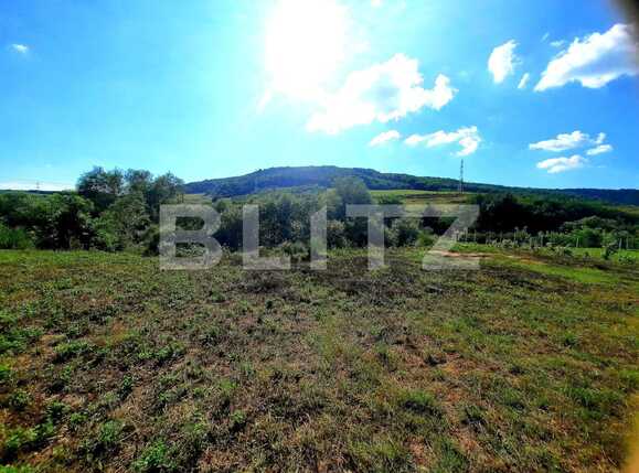 Teren de vânzare Exterior Nord - 54365TV | BLITZ Cluj-Napoca | Poza4