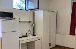 Apartament cu 1 camera open space, 20 mp, pet friendly, parcare, zona The Office