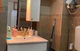 Apartament cu 1 camera open space, 20 mp, pet friendly, parcare, zona The Office