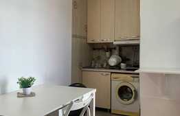 Apartament cu 1 camera open space, 20 mp, pet friendly, parcare, zona The Office