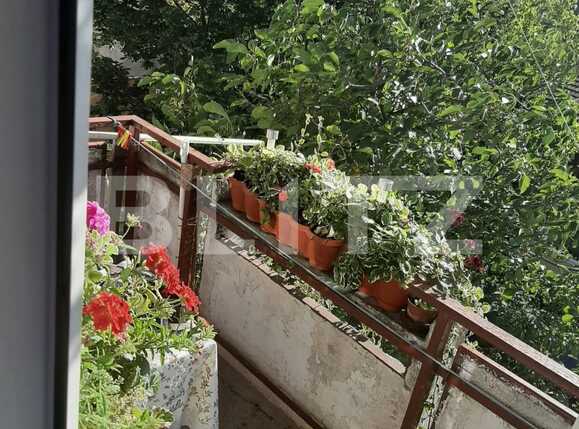 Apartament de vânzare 3 camere Marasti - 54396AV | BLITZ Cluj-Napoca | Poza8