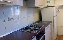 Apartament cu 1 camera, decomandat, 40 mp, imobil nou, zona strazii Burebista, Central