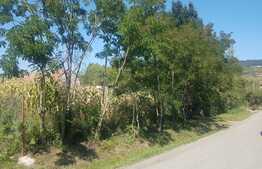 Casa traditionala in Valea Fanatelor cu teren 3700 mp  intravilan + 500 mp arabil