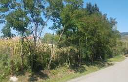 Casa traditionala in Valea Fanatelor cu teren 3700 mp  intravilan + 500 mp arabil