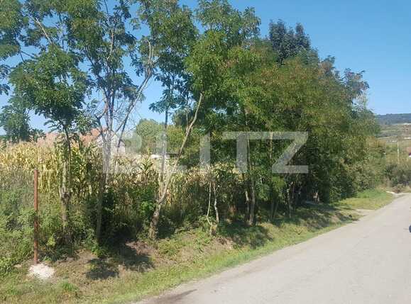 Casa de vânzare 4 camere Exterior Nord - 54404CV | BLITZ Cluj-Napoca | Poza9