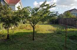 Casa traditionala in Someseni, cu 98 mp suprafata construita, cu teren 500 mp intravilan 