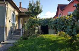 Casa traditionala in Someseni, cu 98 mp suprafata construita, cu teren 500 mp intravilan 