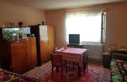 Casa traditionala in Someseni, cu 98 mp suprafata construita, cu teren 500 mp intravilan 