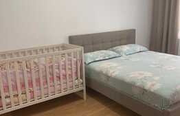 Apartament finisat si mobilat , zona strazii Subcetate, garaj!