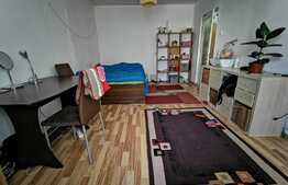 Garsoniera, 26mp, pet friendly, zona  Spitalul de Recuperare